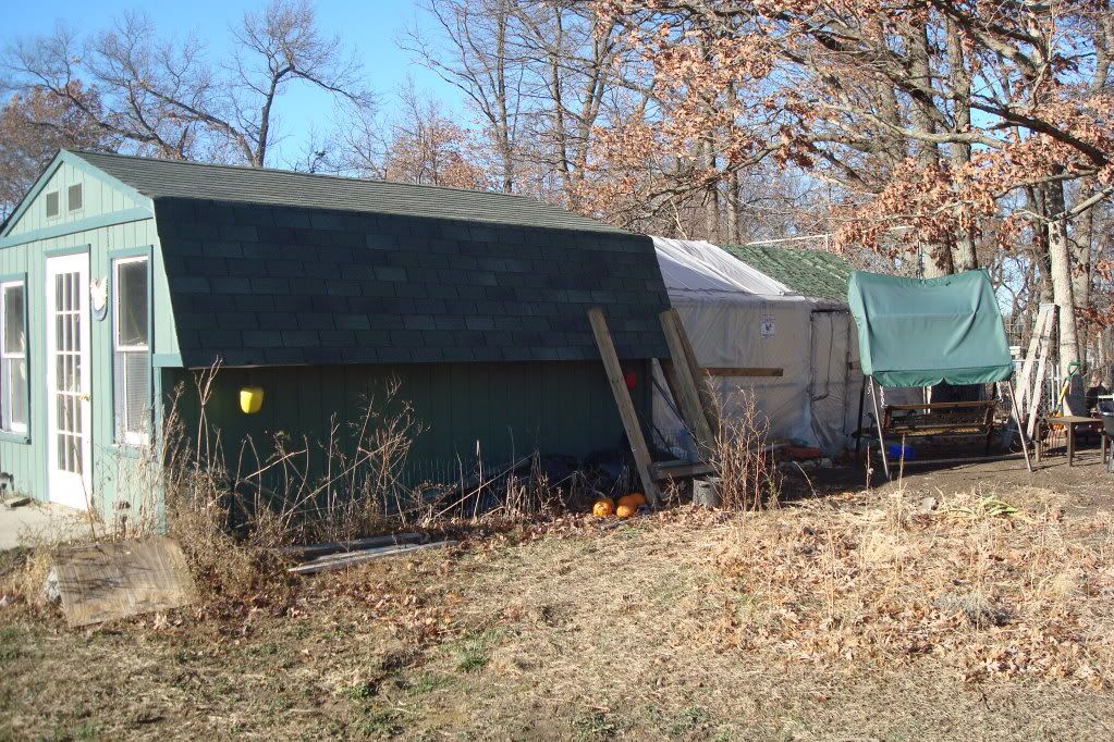 Chain link dog kennel for chicken run enclosure ? Page 2 BackYard